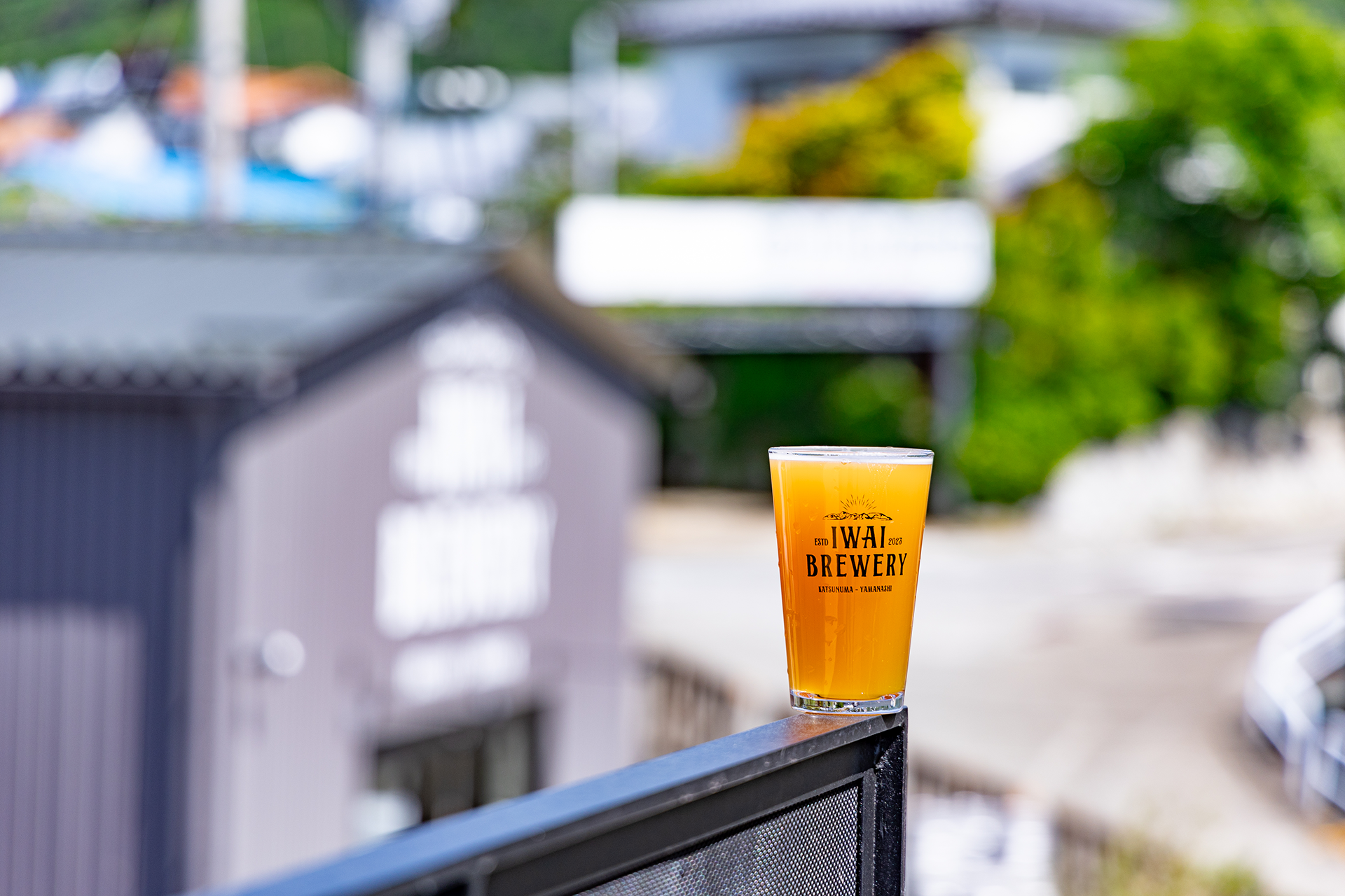 イワイIPA イワイIPA