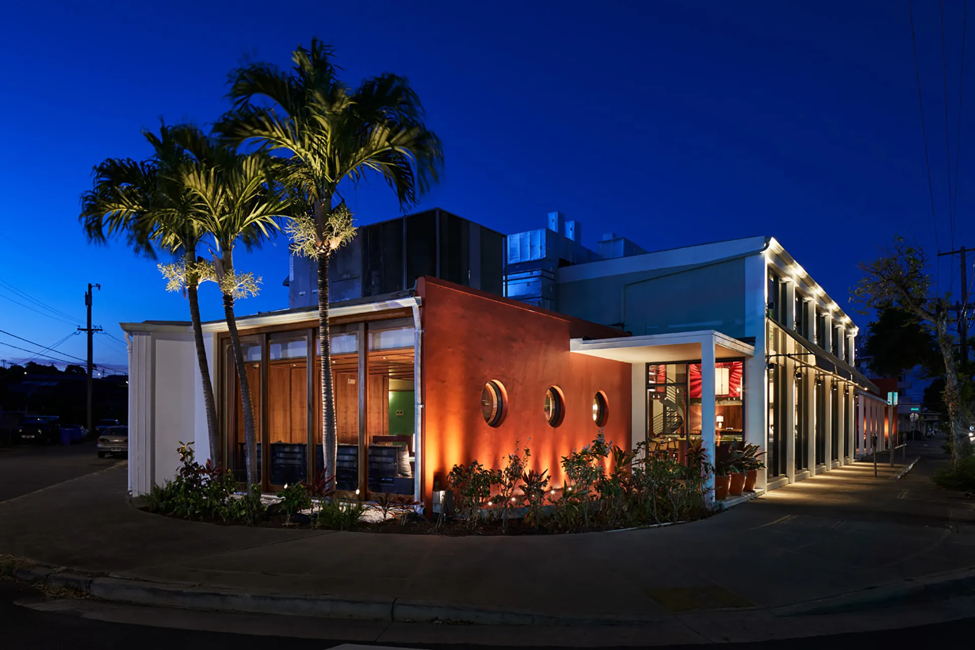 リゴ スパニッシュイタリアン(カパフル) リゴ スパニッシュイタリアン(カパフル)